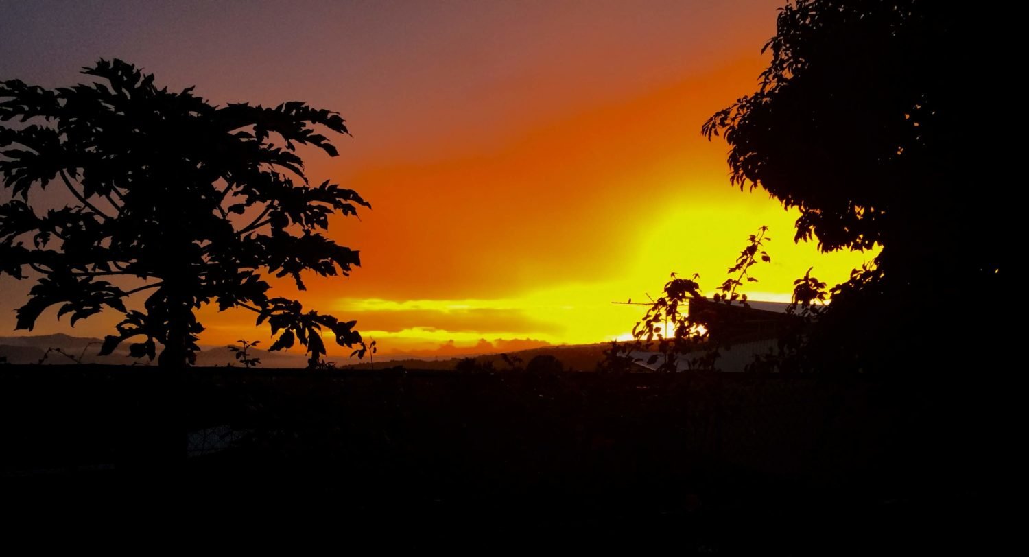 A Harlem Diva in Costa Rica